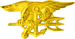 美国海军三栖特种部队海豹突击队