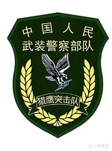 中国武警猎鹰突击队新臂章