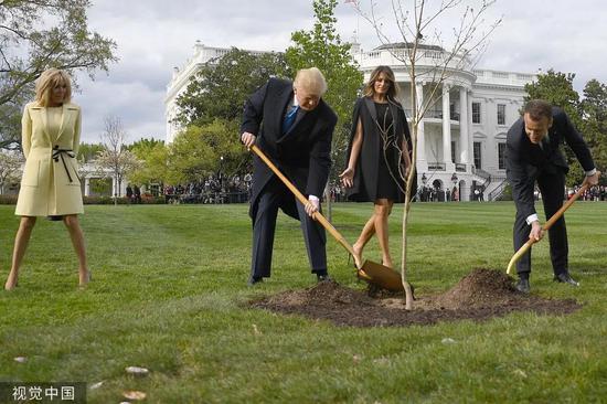 当地时间2018年4月23日，特朗普与马克龙在白宫种下“友谊之树”。图片来源：视觉中国