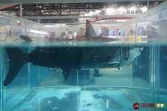 国产仿生鲨鱼机器人亮相 可用于水下侦察追踪