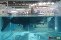 国产仿生鲨鱼机器人亮相 可用于水下侦察追踪
