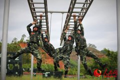 广西来宾：武警特战队员实战练兵