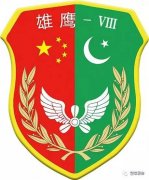 中巴空军在中国境内举行第8次联合训练，不针对