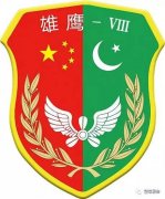 中巴空军在中国境内举行第8次联合训练，不针对