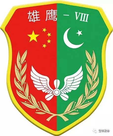 中巴空军在中国境内举行第8次联合训练，不针对第三方
