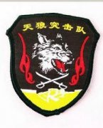 天狼突击队-中国特种部队当中的精锐反恐突击队