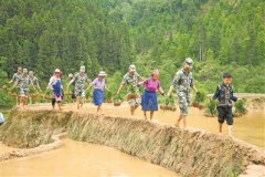 三夏栽种忙 军民情谊长