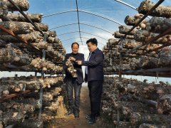 退役军人秦洁：发扬军人作风 助力乡村振兴