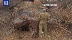 俄称打击乌多个目标 乌称击退俄进攻