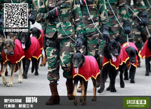 随着9月3日纪念抗战胜利的临近，阅兵这一话题也逐渐成为热门话题。环球军事特别推出9·3阅兵系列策划“最阅兵”，带您领略不同国家阅兵风采，与您阅兵中的奇闻趣事。今天的“最阅兵”给您带来的是世界十大阅兵“神技能”篇，看看各国阅兵中谁的“技能”最强。