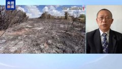 也门胡塞武装用高超音速导弹袭击以色列腹地传