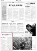 赢了比武拿第一，可官兵们的训练热情为何不升