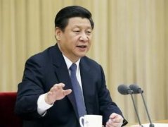 习近平总体安全观的中国意蕴