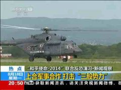 解放军能从“和平使命”学到什么？
