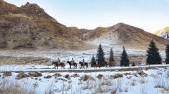 走！跟边防官兵一起骑马踏雪巡边关