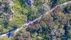 降毒尖兵  向险而行——陆军某旅防化分队应急保