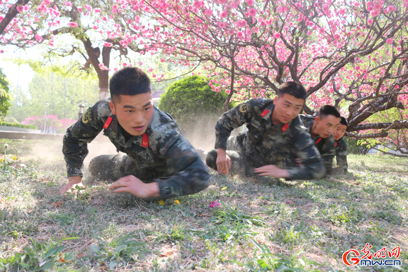 最美人间四月天 武警练兵正当时