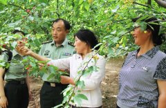 陕西某预备役高炮师帮助2000余名群众脱贫