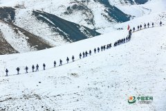 新疆军区某红军师：铁血忠诚铸就有力铁拳